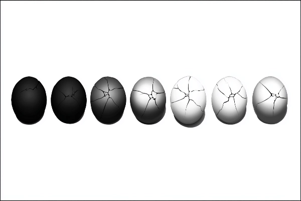 The 7 Shades of Freedom